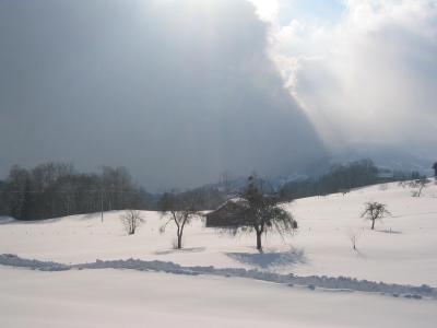stimmung1