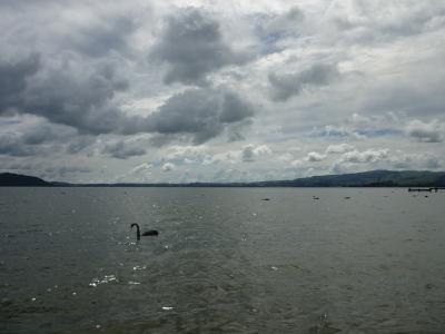 P1010748