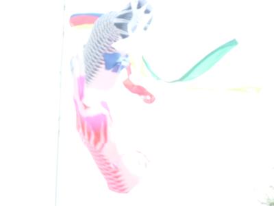 P1030433