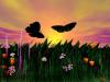 Butterflys-are-flying-with-butter