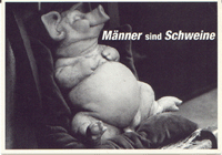 maenner_schweine