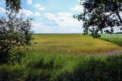ukraine_116