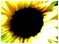 achtundvierzig-klein1