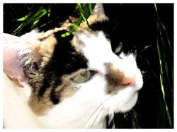 dreiundvierzig-klein