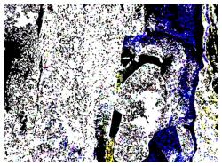 neunundfuenfzig-klein