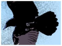 sechsundvierzig-klein