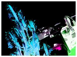 zweiundachtzig-klein