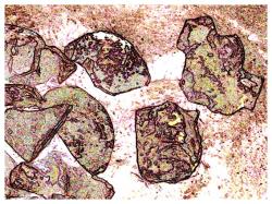 zweiunddreissig-klein