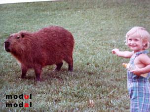 modmod_wasserschwein