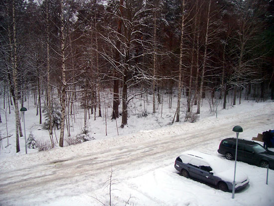 winter1