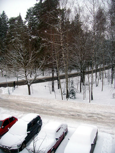 winter21