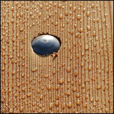 rain1