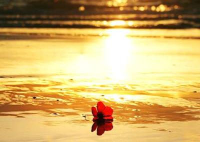 sun