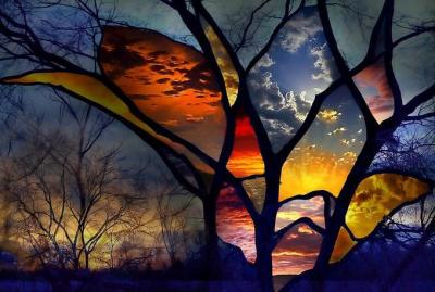 tree
