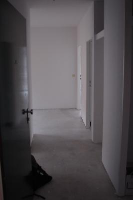 DSC07834