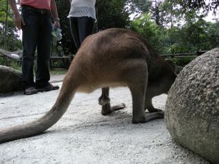 Sack