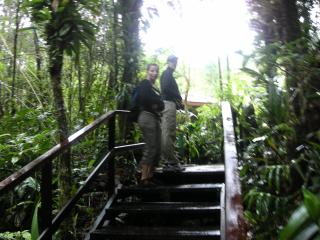 im Mt. Kinabalu NP
