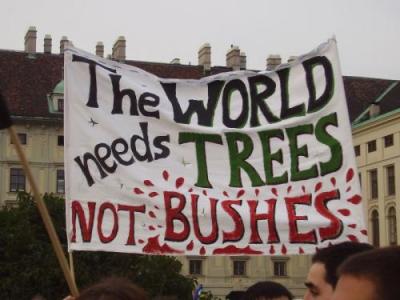 trees not bushes