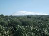 sicily_mountetna