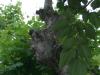 CIMG0089