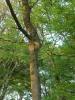 CIMG0651