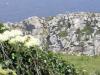 cornwall-foren-4