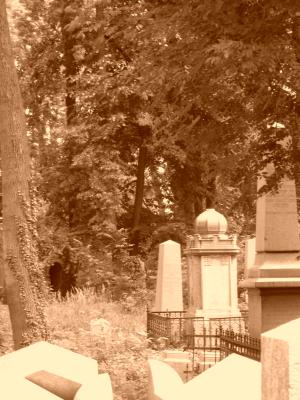 Jüdischer Friedhof Wien Währing vom 13.6.10