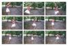 swing-margit