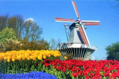 Die-Niederlande