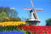 Die-Niederlande