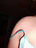 12543212_43559cd7ed_t