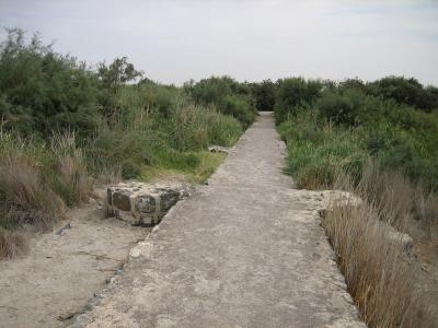 AZ3