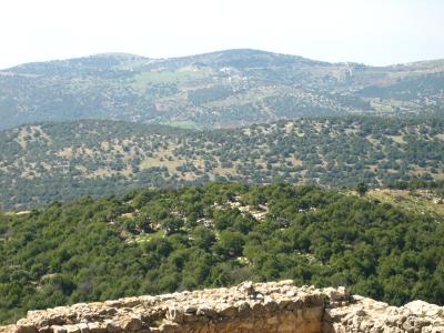 Aussicht von der Burg