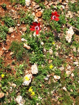Blumen