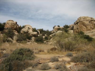 "Wilder Westen" Jordaniens