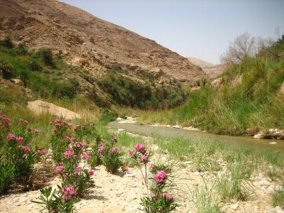 Wadi Hesa