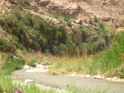 Wadi Hesa