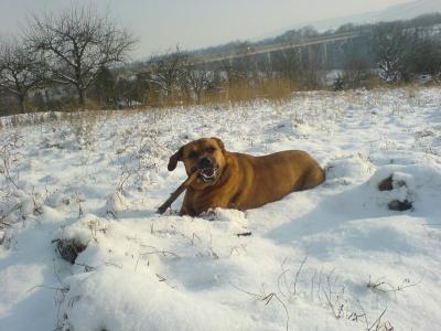 im-Schnee