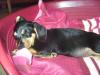 BILD3692