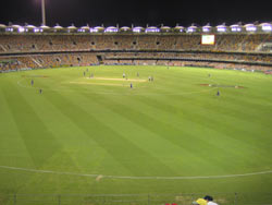 cricket