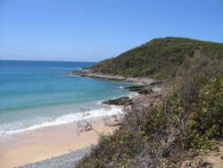 noosa
