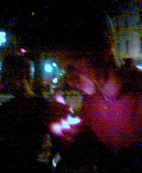 picture(11)