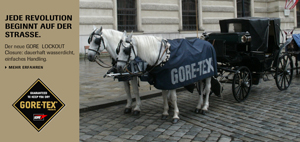goretex-pferd-klein