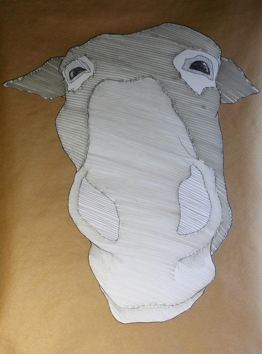 donkey