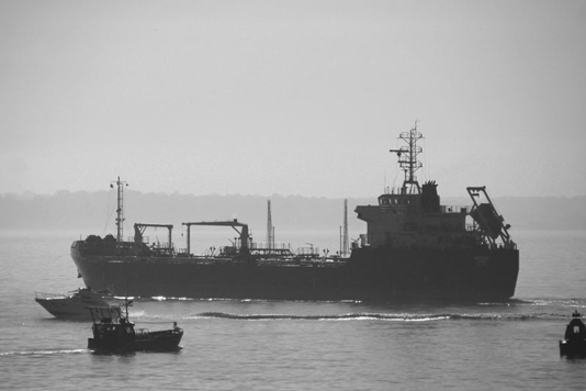 schiff2