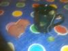 Bild004