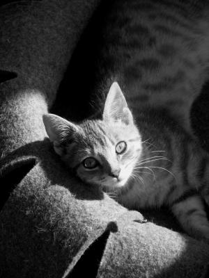PICT0598