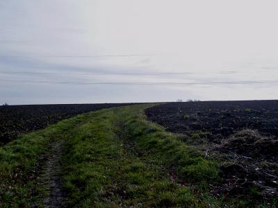 RIMG00071