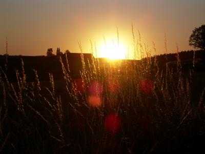 sommer3-018