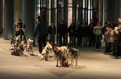 Berlin halt